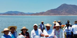 Siembra Compesca 150 mil tilapias para impulsar la economía en Churumuco