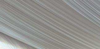 99 priistas rinden protesta como los defensores de los distritos federales en Michoacán