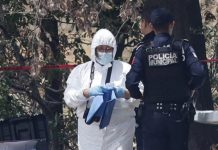 Sujeto asesina a su propio cuñado a sangre fría frente a su hermana