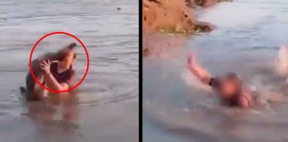 #VIDEO || ¡Terror en el agua! Caimán aparece de la nada y sorprende a mujer en plena laguna