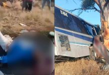 VIDEO FUERTE | Choque de autobús contra un árbol deja al menos 9 muertos en Amealco