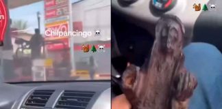 VIDEO | Presuntos halcones graban y retan a elementos de seguridad de Pemex en Chilpancingo