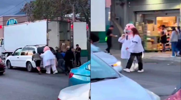 VIDEO | ¡Dr. Simi al rescate! Botarga se hace viral por ayudar a empujar una camioneta varada