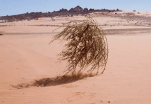 El 11 de abril de 1954, considerado el día más aburrido de la historia