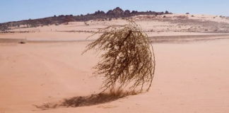 El 11 de abril de 1954, considerado el día más aburrido de la historia