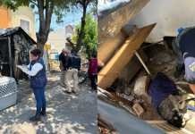 Rescata FGE a “Zeus”, perro husky hallado gravemente lesionado y en condiciones de abandono en Morelia