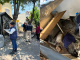 Rescata FGE a “Zeus”, perro husky hallado gravemente lesionado y en condiciones de abandono en Morelia