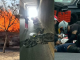 Tres accidentes de moto y un incendio movilizan a cuerpos de emergencia en Morelia