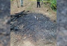 Localizan presuntas fosas clandestinas en el sur del Estado de México