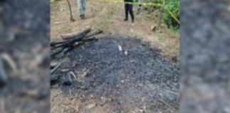 Localizan presuntas fosas clandestinas en el sur del Estado de México