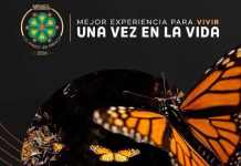 Michoacán compite en 7 categorías de Lo Mejor de México 2026; votaciones cierran este lunes