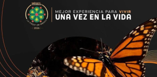 Michoacán compite en 7 categorías de Lo Mejor de México 2026; votaciones cierran este lunes