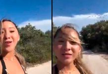 #VIDEO || ¡Indignación en Yucatán! Influencer ahuyenta flamencos y desata polémica