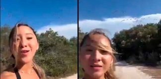 #VIDEO || ¡Indignación en Yucatán! Influencer ahuyenta flamencos y desata polémica