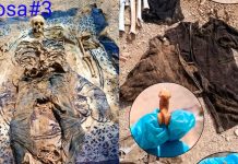 Madres buscadoras hallan 9 fosas clandestinas con más de 30 cadáveres y objetos personales