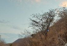 Camioneta se va a un barranco en Zitácuaro; hay un muerto y 8 lesionados