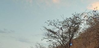 Camioneta se va a un barranco en Zitácuaro; hay un muerto y 8 lesionados