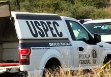 Hallan a un hombre ejecutado en predio rústico del municipio de Queréndaro