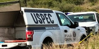 Hallan a un hombre ejecutado en predio rústico del municipio de Queréndaro