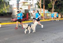 La carrera Adidas inundó las principales avenidas de Morelia este domingo por la mañana