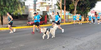 La carrera Adidas inundó las principales avenidas de Morelia este domingo por la mañana