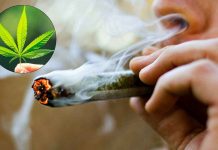 ¿Cómo surgió el 4/20, el símbolo mundial de la marihuana?