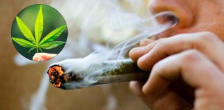 ¿Cómo surgió el 4/20, el símbolo mundial de la marihuana?