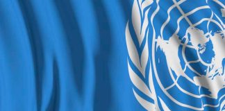 México obtiene cuatro cargos subsidiarios de la ONU