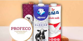 ¿Cuál es la mejor leche de México? Profeco publica su top 4 por calidad y precio