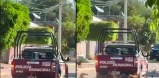 #VIDEO// Investigan a policías en Puebla por presunto maltrato animal