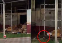 #VIDEO // Video de ratas en hospital de Culiacán genera preocupación entre usuarios