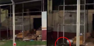#VIDEO // Video de ratas en hospital de Culiacán genera preocupación entre usuarios