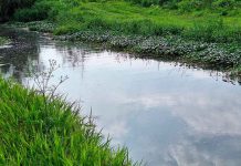 Ríos y drenes de Morelia se mantienen por debajo del 50 por ciento