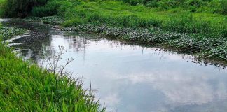 Ríos y drenes de Morelia se mantienen por debajo del 50 por ciento