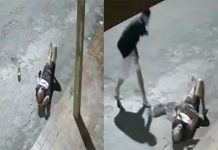 #VIDEO //Ataque brutal en Brasil: hombre es agredido con una piedra mientras estaba indefenso