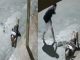 #VIDEO //Ataque brutal en Brasil: hombre es agredido con una piedra mientras estaba indefenso