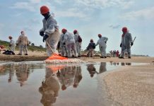 Pemex mantiene labores de limpieza y conservación en Playa Barrillas, Veracruz