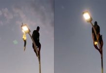 #VIDEO Hombre arriesga su vida para rescatar a una gaviota en La Paz