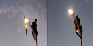 #VIDEO Hombre arriesga su vida para rescatar a una gaviota en La Paz