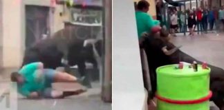 Hombre muere tras ser corneado por un toro durante celebración en España.