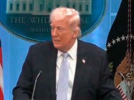 Donald Trump bromea con aprender español y postularse a la presidencia de Venezuela