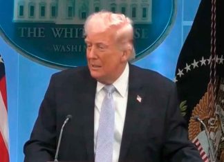 Donald Trump bromea con aprender español y postularse a la presidencia de Venezuela