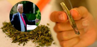 Trump reclasifica la marihuana como droga menos peligrosa en Estados Unidos