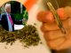 Trump reclasifica la marihuana como droga menos peligrosa en Estados Unidos