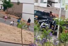 VIDEO | Acorralan a sujeto tras fuerte riña en Campo Nubes y él mismo pide ser detenido