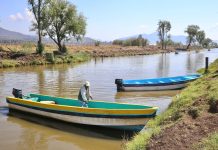 Hallazgo de tres nuevos manantiales consolidan rescate del lago de Pátzcuaro: Bedolla