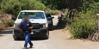 Muere hombre electrocutado mientras realizaba labores en un árbol de tamarindo en Múgica