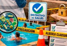 ¡Cuidado en la alberca! El riesgo oculto que podría arruinar tus vacaciones ¿de qué trata?