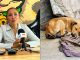 Casos de abandono de animales durante Semana Santa