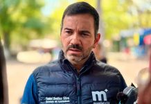 Árboles cercanos al distribuidor vial fueron podados para tener visibilidad de las señaléticas: SCOP